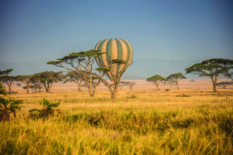 Ballon Safaris