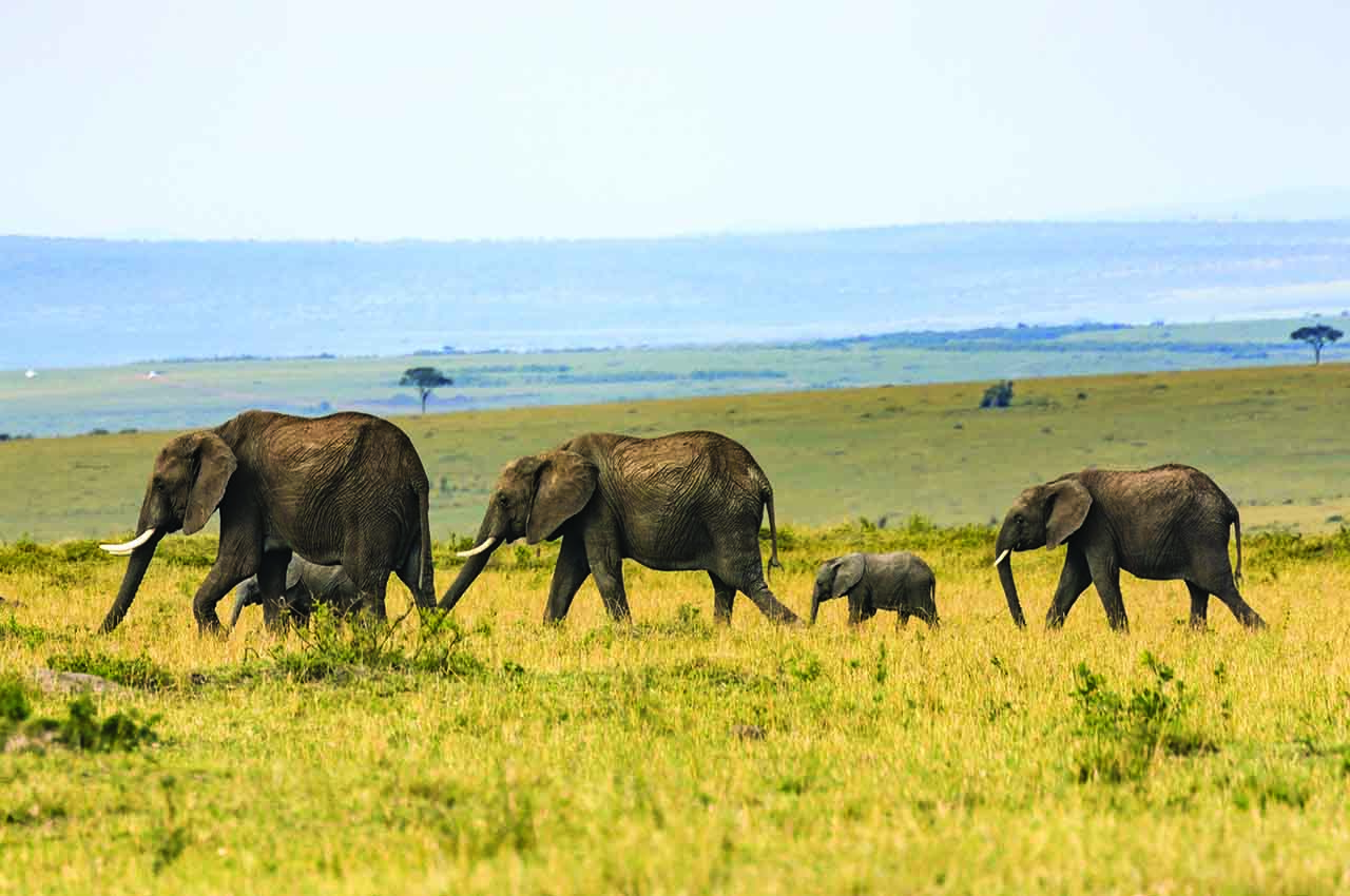 Tarangire National Park