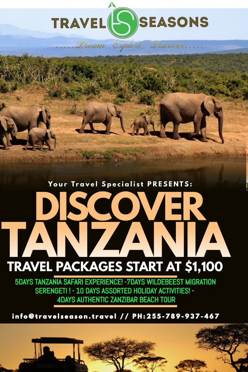 Descover Tanzania