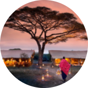 10 DAYS TANZANIA SAFARI EXPERIENCE 28 Screenshot 2025 05 23 141228 modified