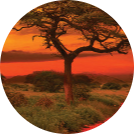 10 DAYS TANZANIA SAFARI EXPERIENCE 29 Screenshot 2025 05 23 141518 modified