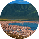6 Days in Kenya Lifetime Experience 14 Screenshot 2025 05 25 102631 modified