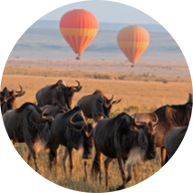6 Days in Kenya Lifetime Experience 15 Screenshot 2025 05 25 102953 modified