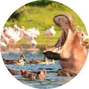 6 Days in Kenya Lifetime Experience 17 Screenshot 2025 05 25 103434 modified
