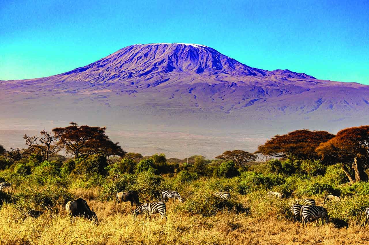 Kilimanjaro Trek